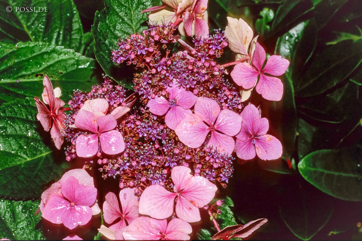 100403-0165.jpg