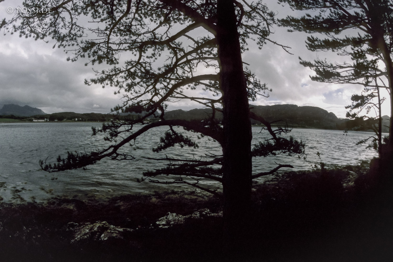 100403-0168.jpg