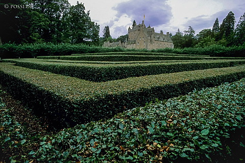 100403-0060.jpg