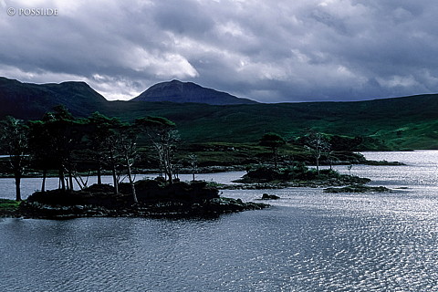 100403-0159.jpg