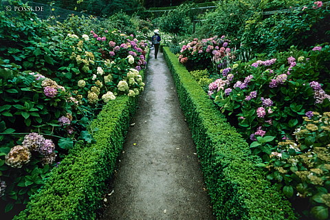 100403-0164.jpg