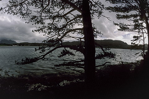 100403-0168.jpg