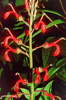 100403-0172.jpg