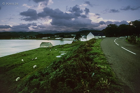 100403-0175.jpg