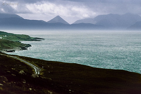 100403-0178.jpg