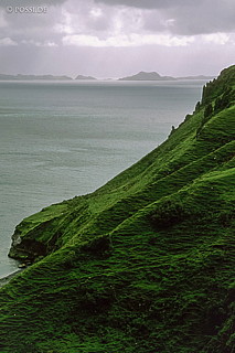 100403-0188.jpg