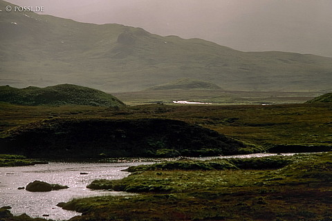 100403-0207.jpg