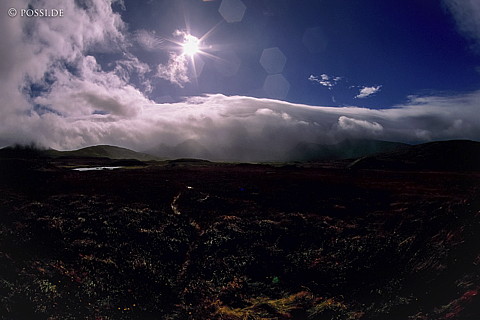 100403-0208.jpg