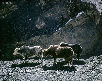 181226-286.jpg