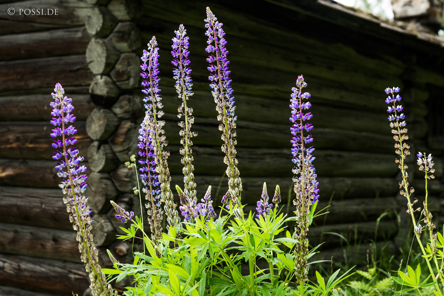 170709-1518.jpg