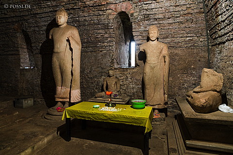 170118-7885.jpg