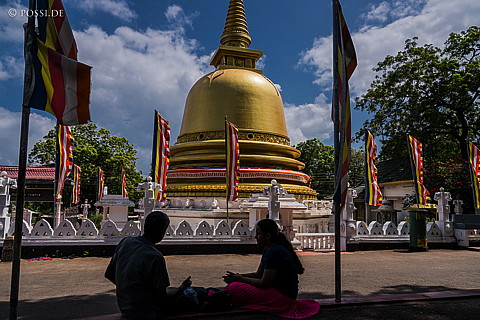 170119-8034.jpg