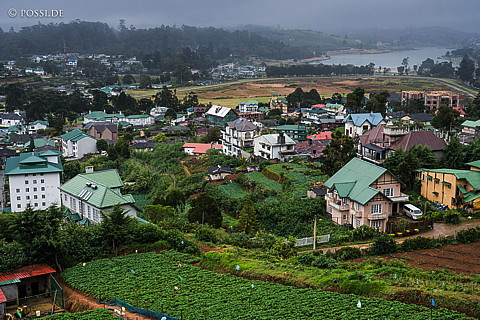 170123-8617.jpg