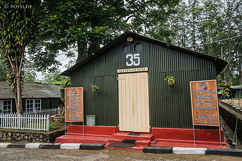 170125-8786.jpg