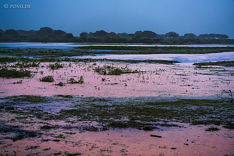 170127-9015.jpg