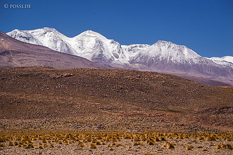 141118-2180.jpg