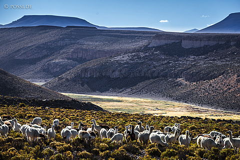 141118-2218.jpg