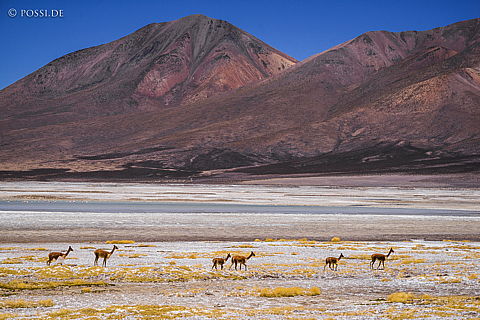 141119-2409.jpg