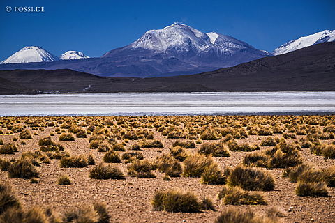 141119-2415.jpg