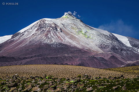 141119-2439.jpg