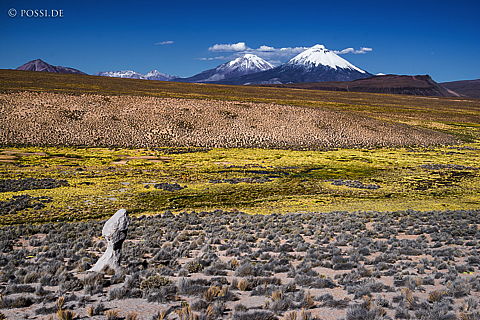 141119-2465.jpg
