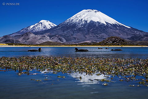 141120-2534.jpg