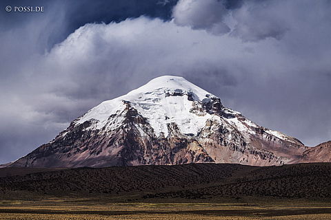 141120-2588.jpg