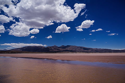 141121-2593.jpg