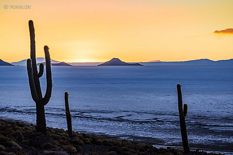141121-2730.jpg