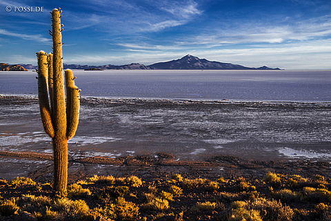 141122-2879.jpg