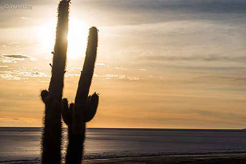 141122-2884.jpg