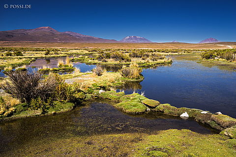 141124-2993.jpg