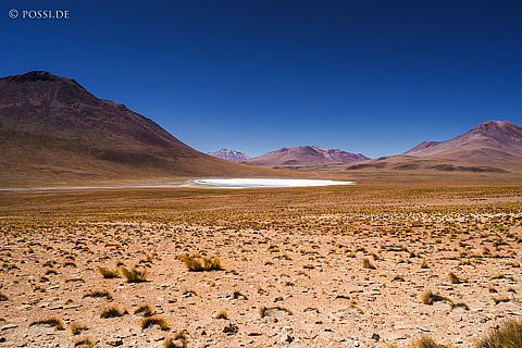 141124-3008.jpg