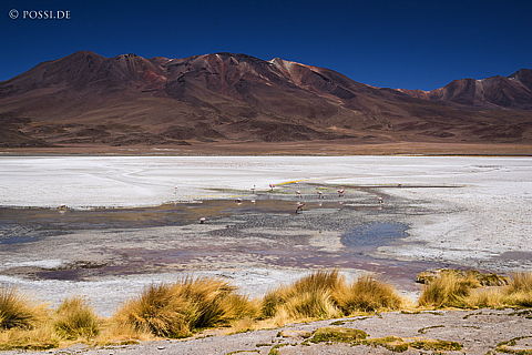 141124-3027.jpg