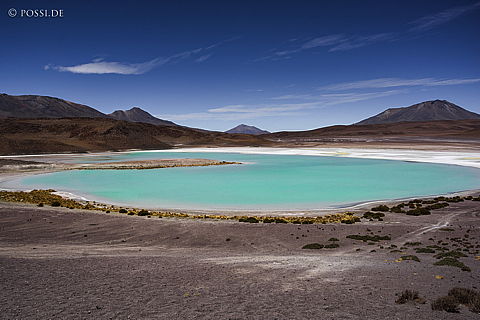 141124-3131.jpg