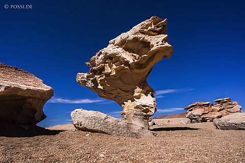 141124-3153.jpg