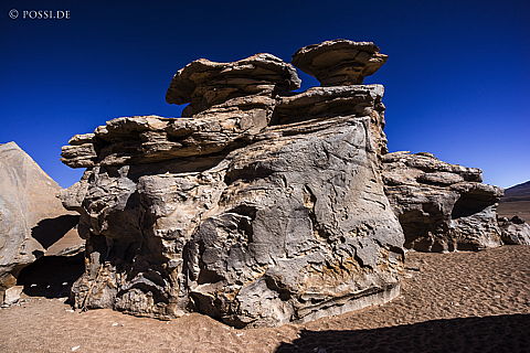 141124-3162.jpg
