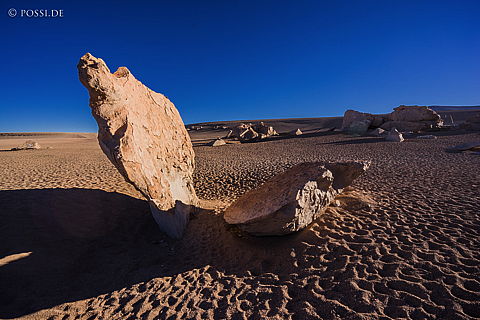 141125-3231.jpg