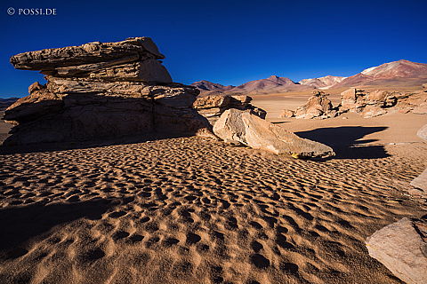 141125-3234.jpg