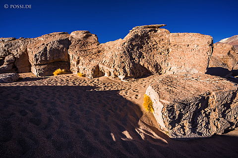 141125-3241.jpg