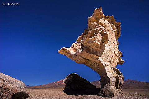 141125-3257.jpg