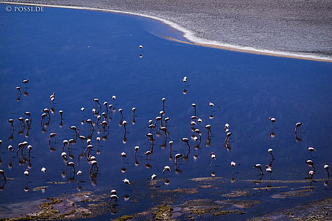 141125-3283.jpg