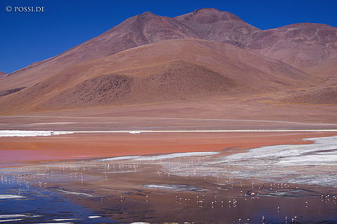 141125-3317.jpg