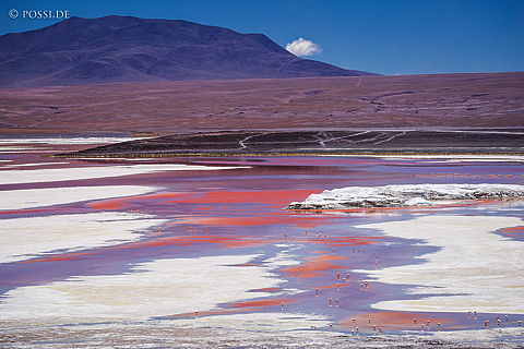 141125-3336.jpg