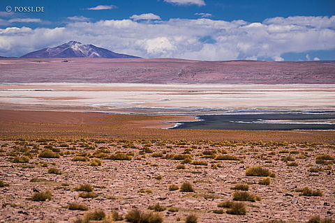 141125-3387.jpg