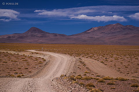 141125-3502.jpg