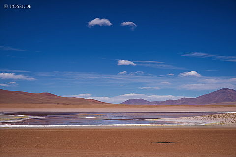 141125-3514.jpg