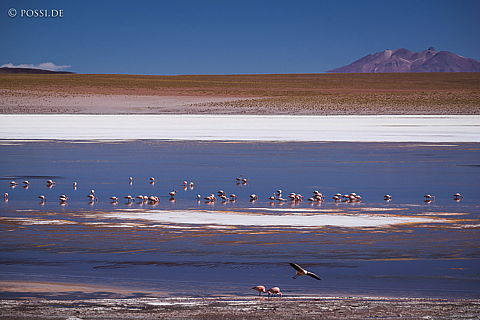 141125-3517.jpg