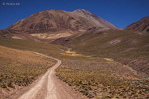141127-3746.jpg