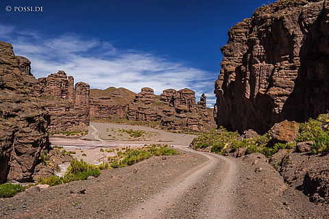 141127-3769.jpg
